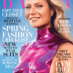 Gwyneth Paltrow wearing boob plates